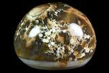 Colorful, Polished Carnelian Agate #70802-1